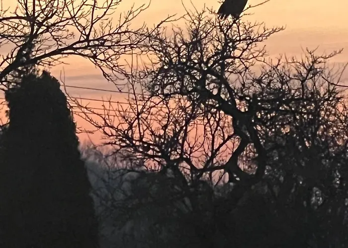 Maisonette With A View Rottendorf